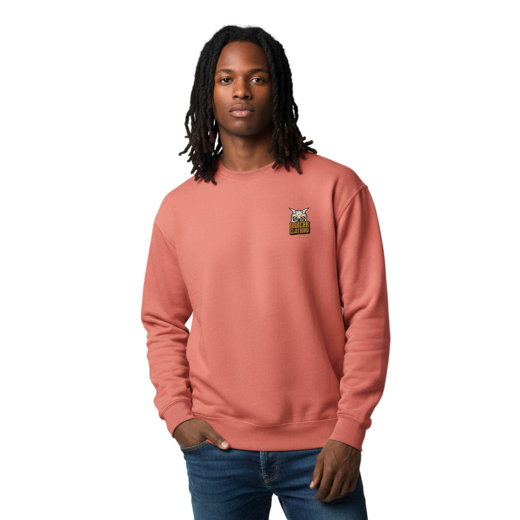 Person wearing a pink sweatshirt with a logo on a white background