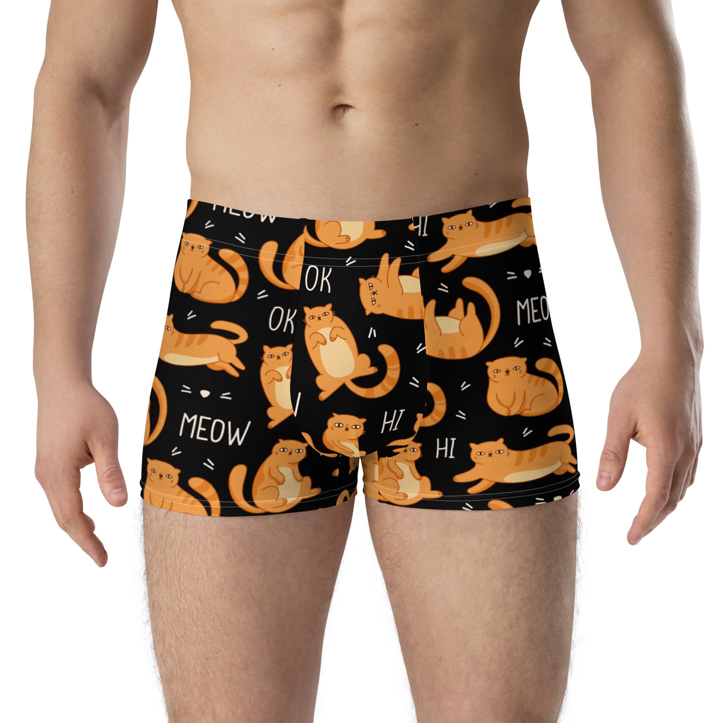 MEN'S PRINTED BOXER MEOW OK