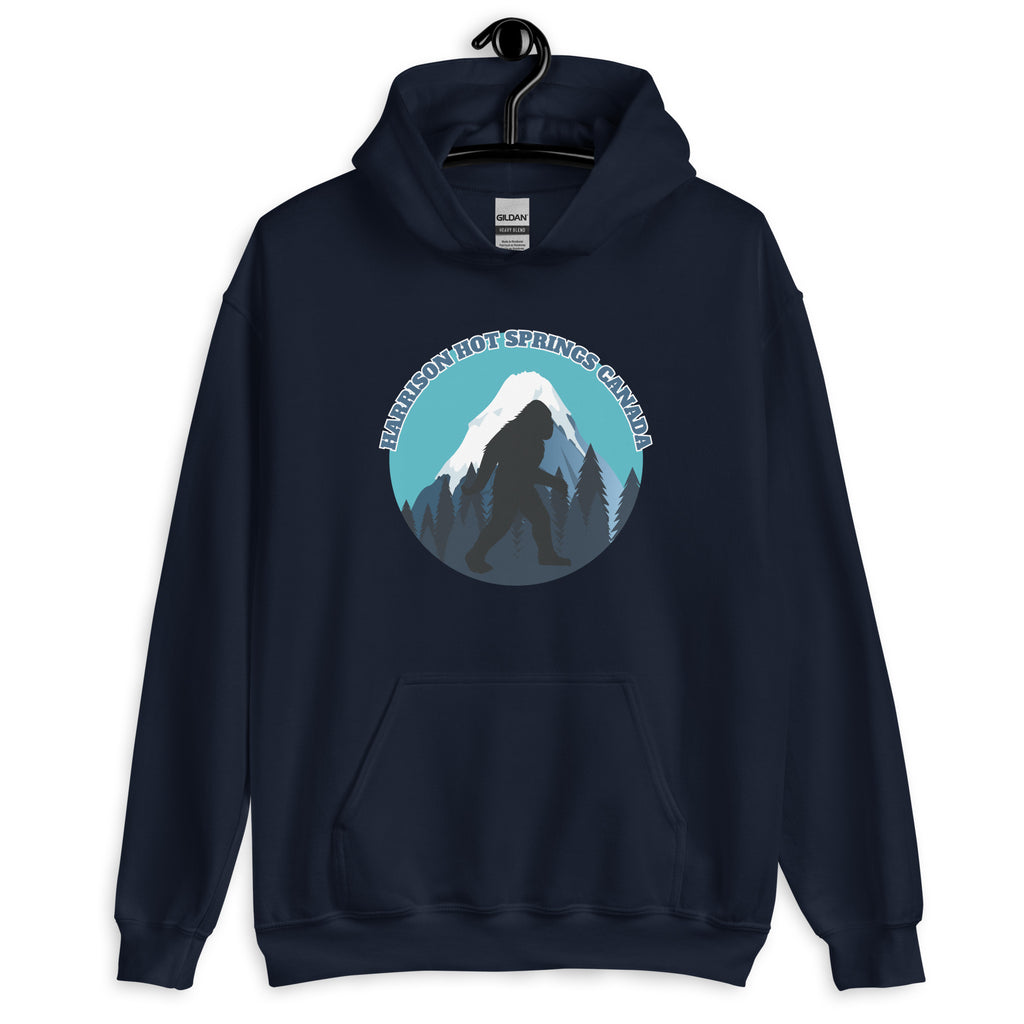 HARRISON HOT SPRINGS HOODIES BLENDS PRE SHRUNK