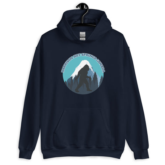 HARRISON HOT SPRINGS HOODIES FOR MEN CLASSIC HOODIES