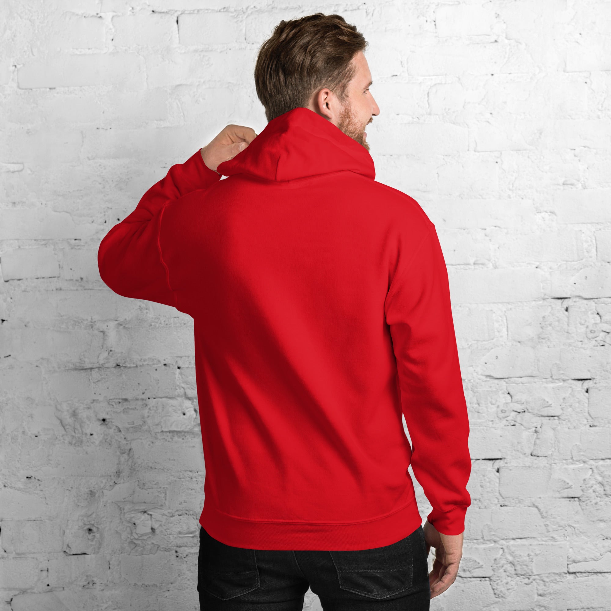 USA HOODIE AMERICA FLAG HOODIE BLENDS 50