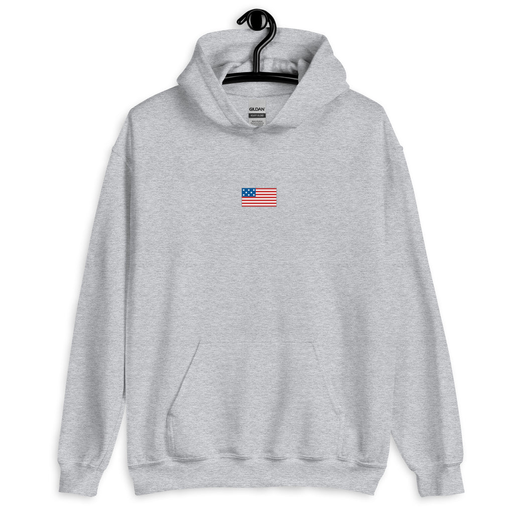 USA HOODIE AMERICA FLAG HOODIE BLENDS 50