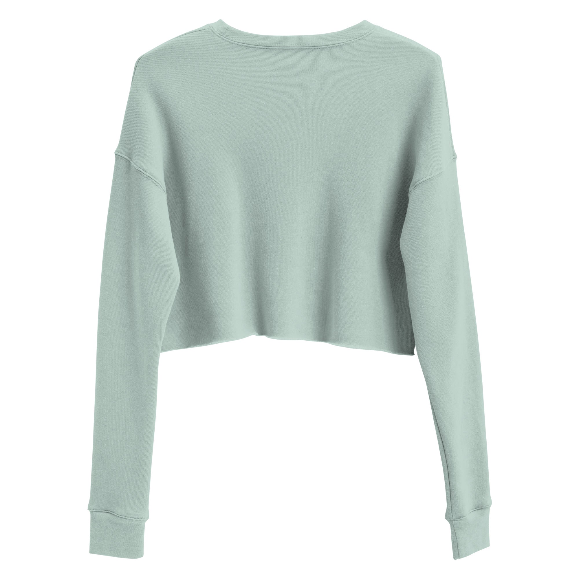 sweatshirt dusty blue